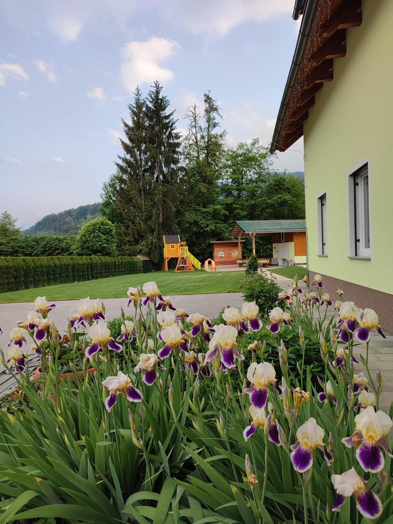 Apartments And Wellness Jelovca Radovljica Exterior foto