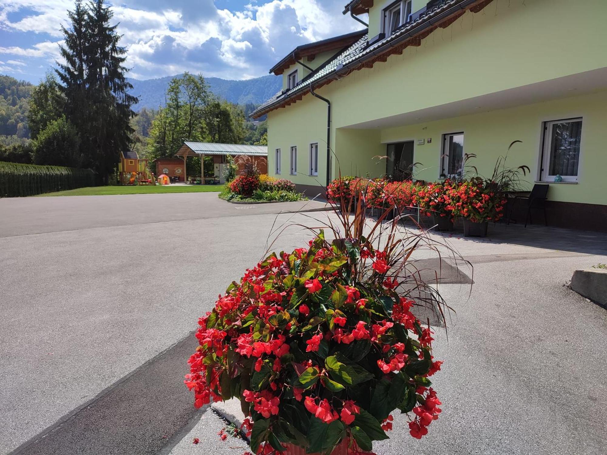 Apartments And Wellness Jelovca Radovljica Exterior foto